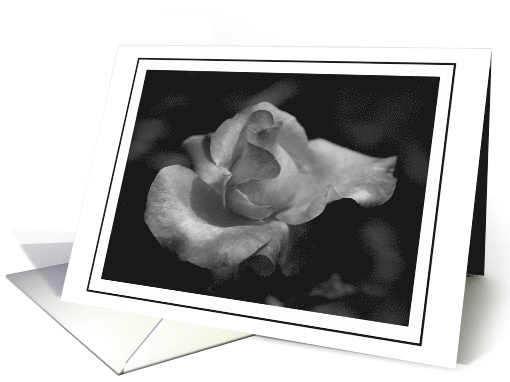 Black and White Rose with Frame Blank Inside card (867469)