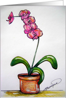 The orchid card