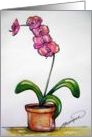 The orchid card