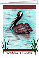 Pelican in Naples Florida card