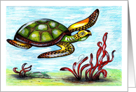 Sea Turtle card