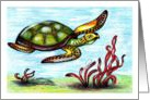 Sea Turtle card