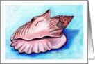 Conch card