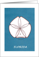 Sanddollar card