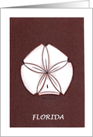 Sanddollar card