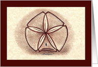 Sanddollar card