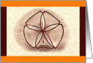 Sanddollar card