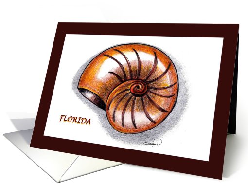 Florida seashell card (484506)