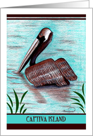 Pelican Captiva Island card