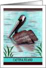 Pelican Captiva Island card