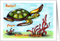 Sea turtle from Captiva Island card
