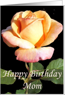 Yellow Rose Birthday Card for Mom card