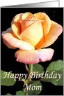 Yellow Rose Birthday Card for Mom card