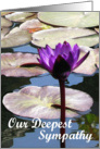 Purple Water Lily Sympathy Card