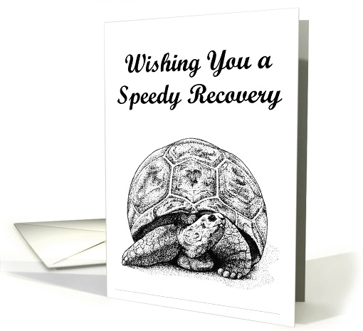 Turtle Get Well card (429613)