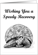 Turtle Get Well Card