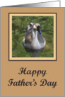 Goose Father’s Day card