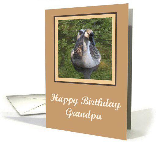 Goose Grandfather Birthday card (432944)
