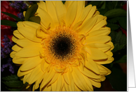 Large Daisy card