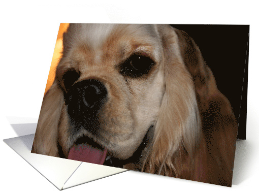Jack Jack Smile card (430676)