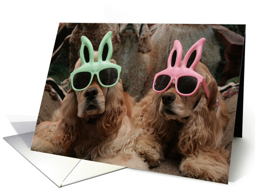 Cocker Spaniel Bunnies card (616798)