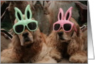 Cocker Spaniel Bunnies card