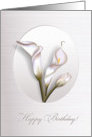 Calla flowers framed with light and shadow, 3-d digital illustration. card