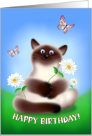 Smiling cat with flower digital illustration. Silly, funny and very cute puffy Himalayan holding a flower. Great for kid’s Birthday. card