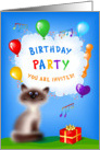 Cat with a Birthday Gift invitation card