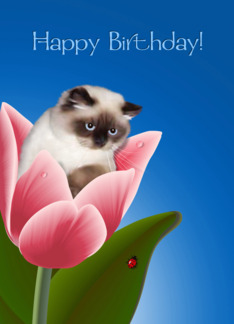 Cat in Tulip Flower digital illustration combined with Maximilian the cat photo
