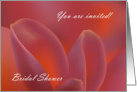 Tulip Petals Close Up. Pink Tulip Petals Bridal Shower Invitation. card
