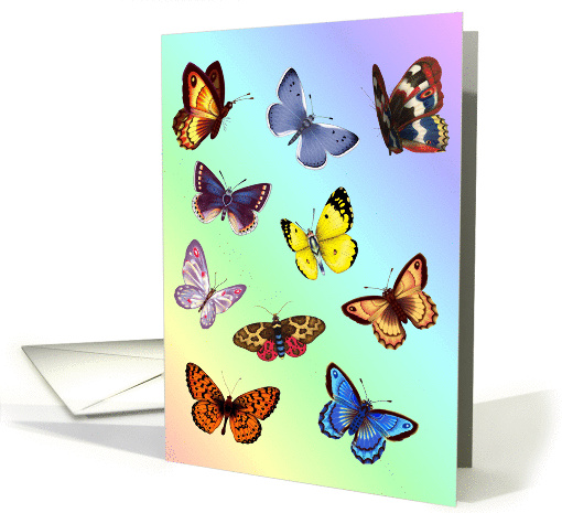 Bright flying butterflies with amazing wing patterns... (451047)