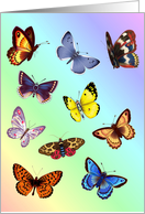 Bright flying butterflies with amazing wing patterns digital illustration. card