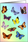 Bright flying butterflies with amazing wing patterns digital illustration. card