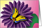 Bright butterfliy on flower digital illustration. card