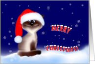 Christmas Cat in Santa Hat card