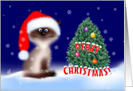 Christmas Cat in Santa Hat card
