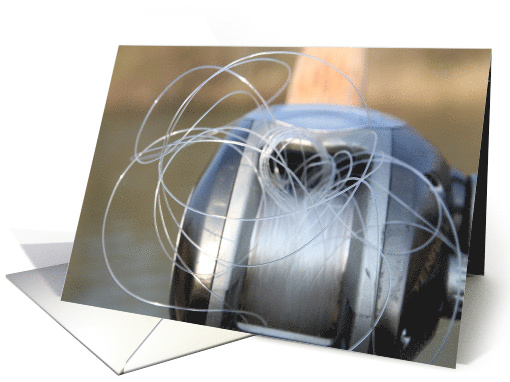 Bird Nest Reel
 card (429272)