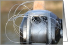 Bird Nest Reel card