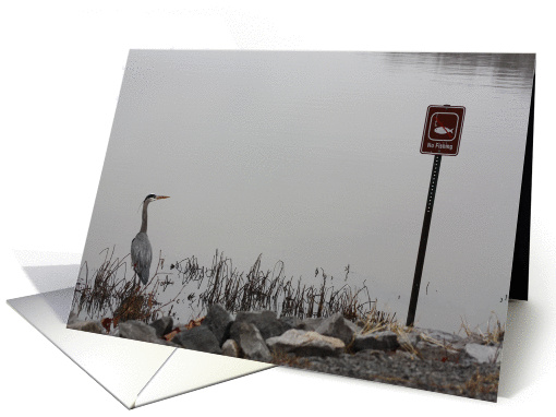 NO FISHING card (429426)