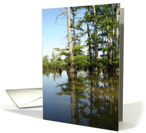 CACHE RIVER card (429679)