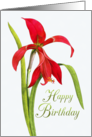 Jubilant Red Lily Birthday card