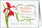 Birthday Wishes For Mother From Son Red Lily card