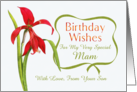 Birthday Wishes For Mam From Son Red Lily card