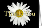 Thank You Business, White Daisy card