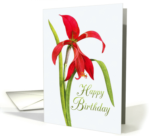 Jubilant Red Lily Birthday card (1049457)