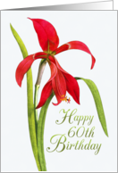 Jubilant Red Lily...