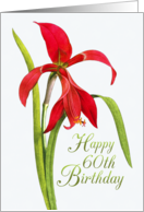 Jubilant Red Lily for 60th Birthday card
