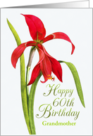 Jubilant Red Lily 60th Birthday For Grandmother card