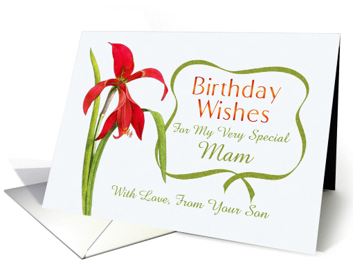 Birthday Wishes For Mam From Son Red Lily card (1287116)